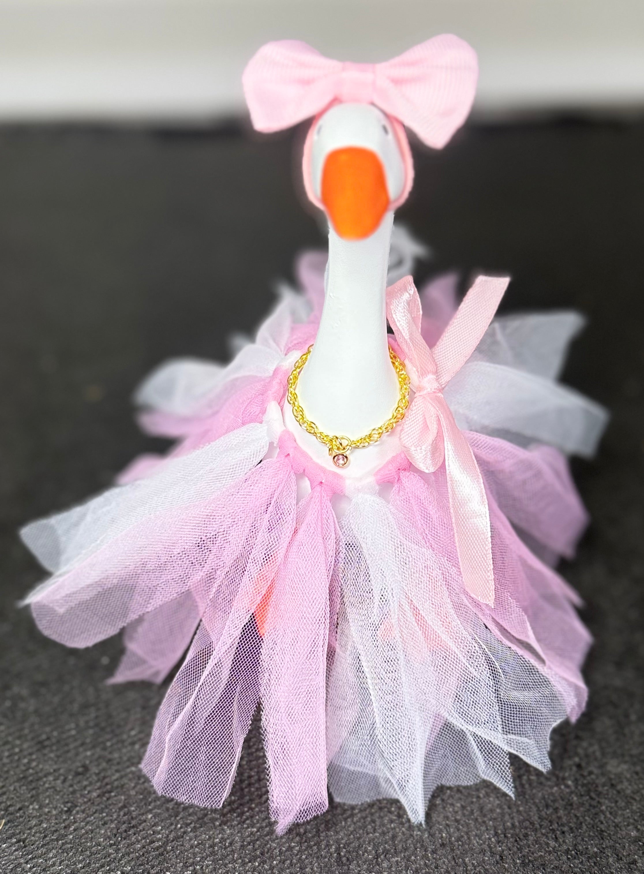 Tiny Goose, Big Personality