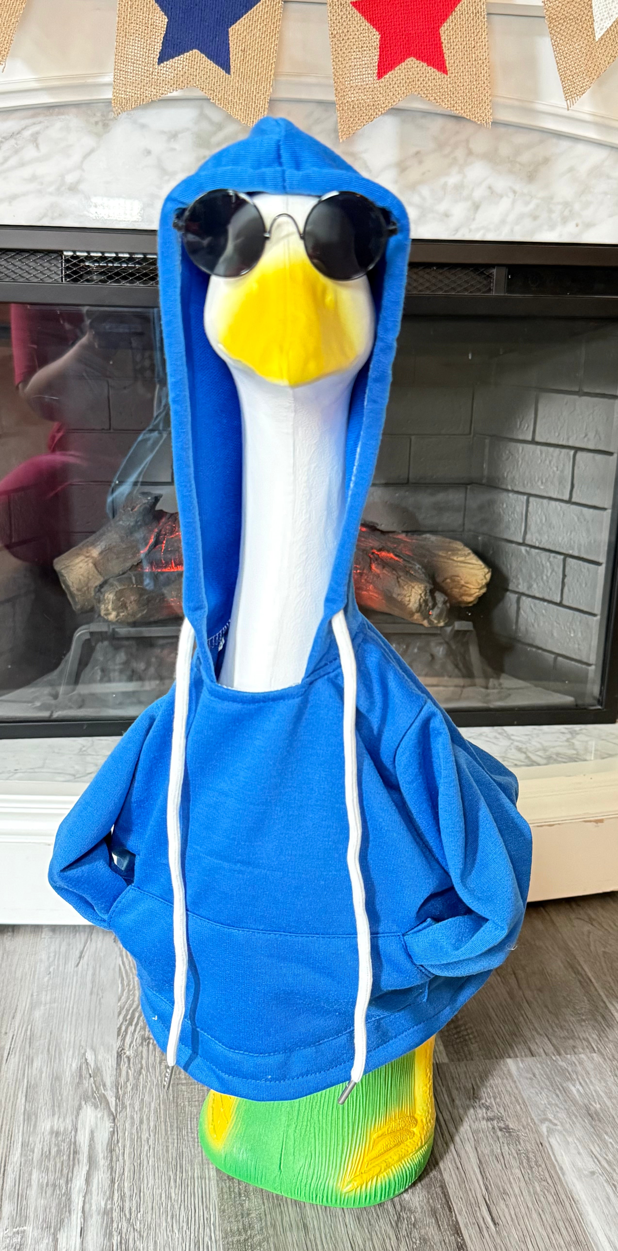 “Doesn’t Even Live Here” Goose Hoodie and Sunglasses