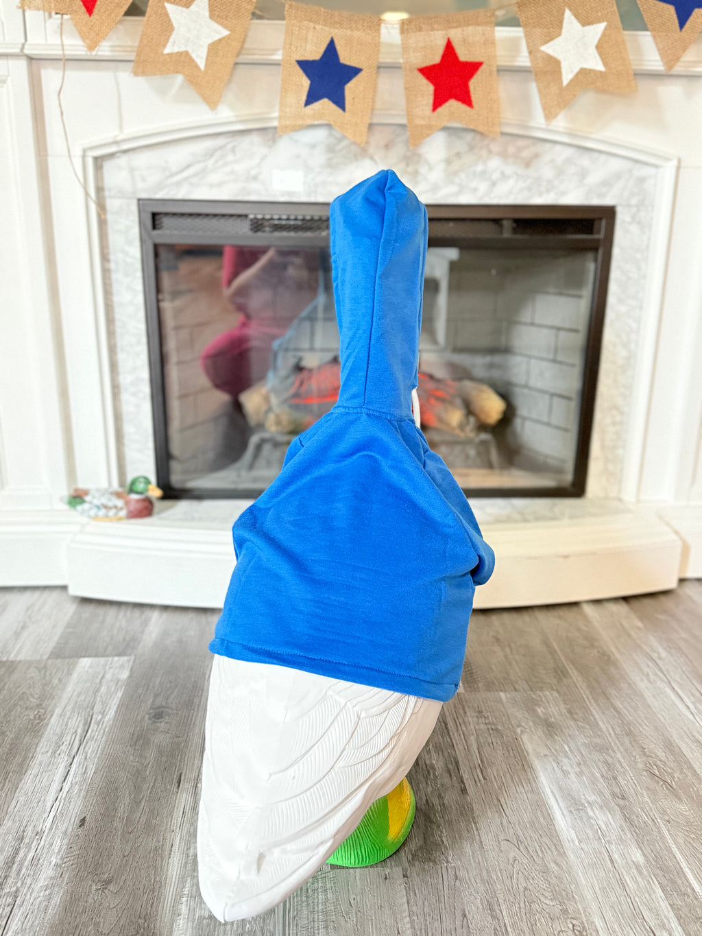 “Doesn’t Even Live Here” Goose Hoodie and Sunglasses