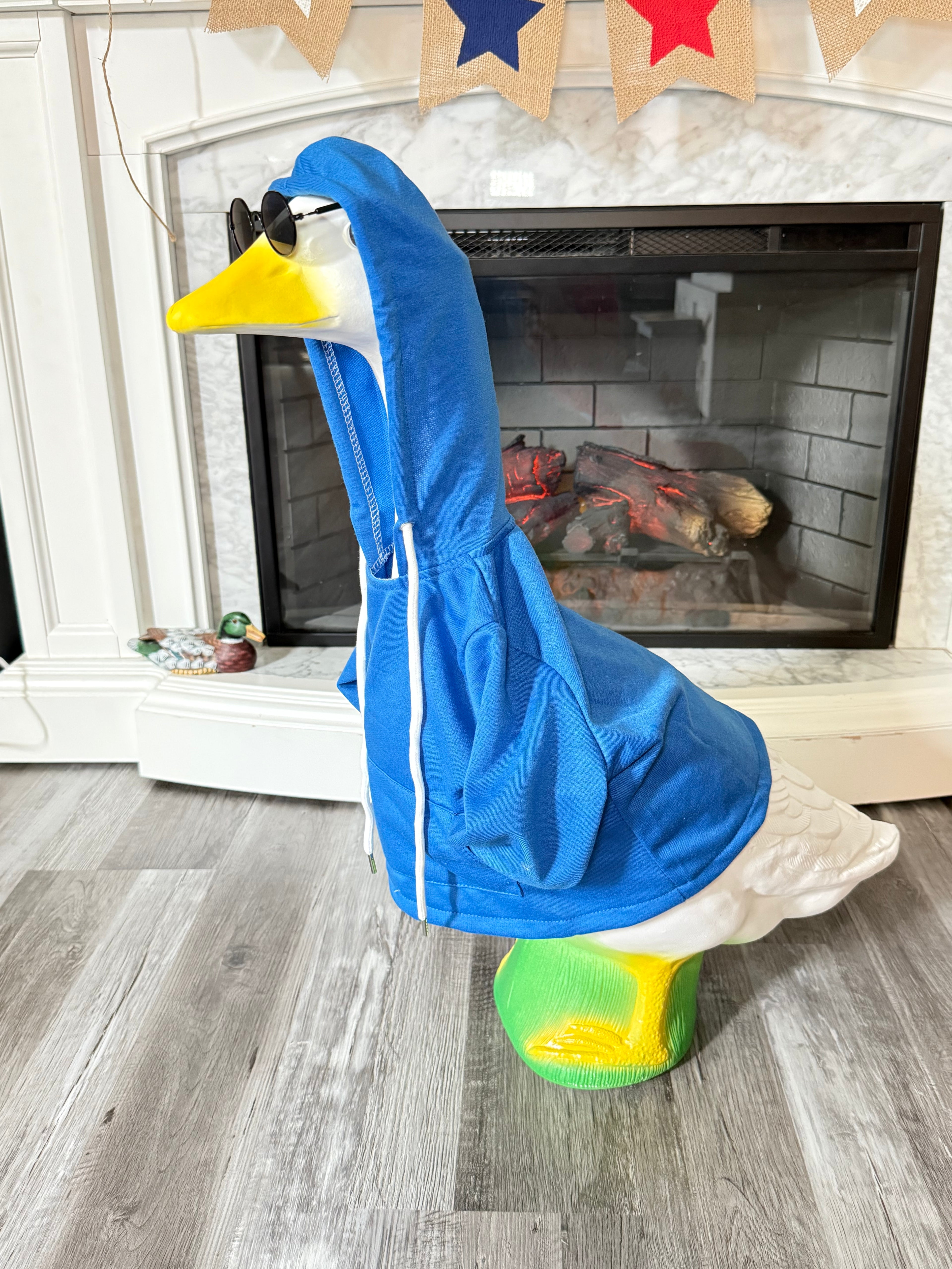 “Doesn’t Even Live Here” Goose Hoodie and Sunglasses