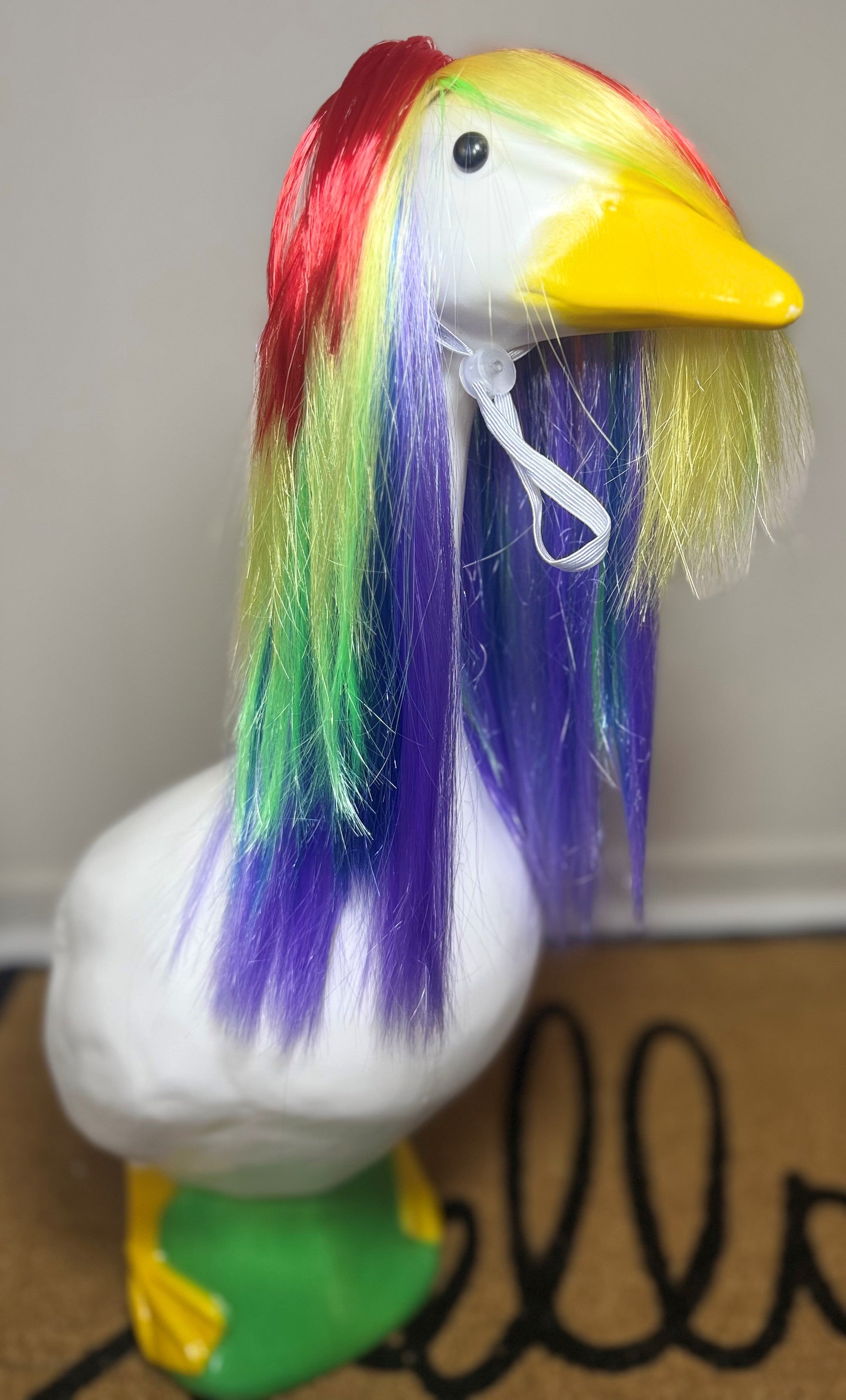 Rainbow Goose Wig 🌈 -Long Wig for Porch Geese